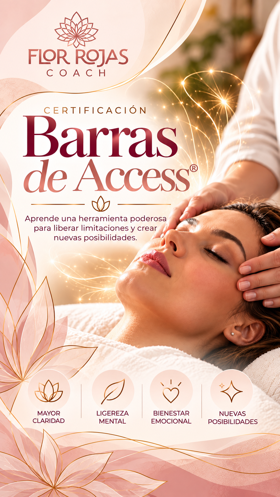 Certificación Barras de Access